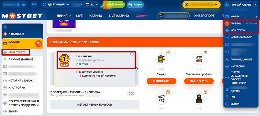 Просмотр VIP статуса