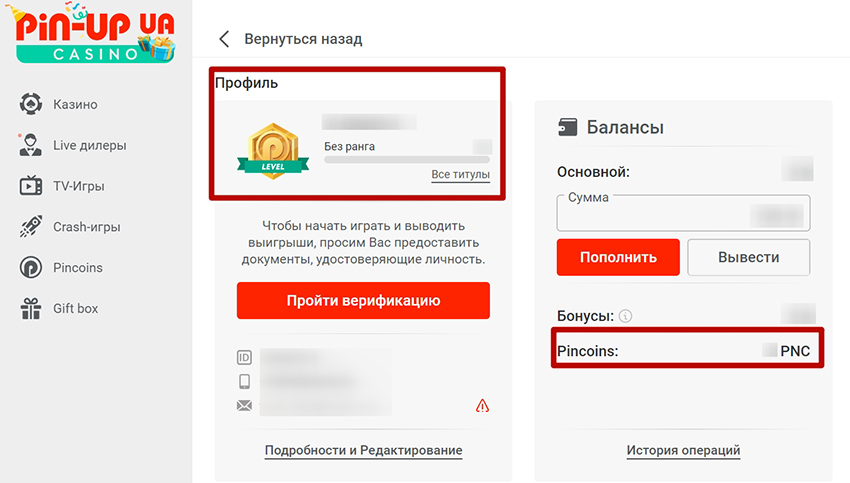Информация по уровню и баллам