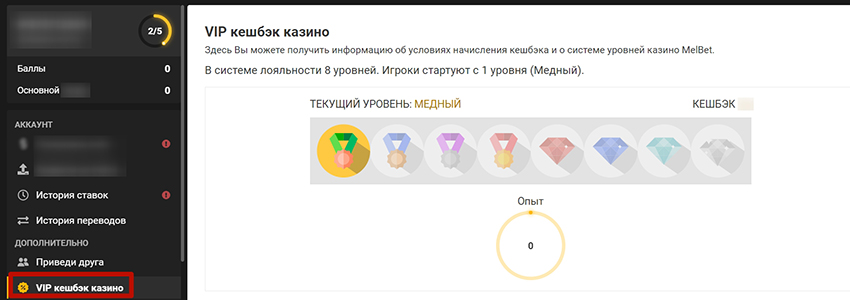 Раздел программы лояльности