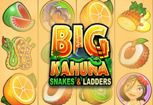 Big Kahuna Snakes &038; Ladders