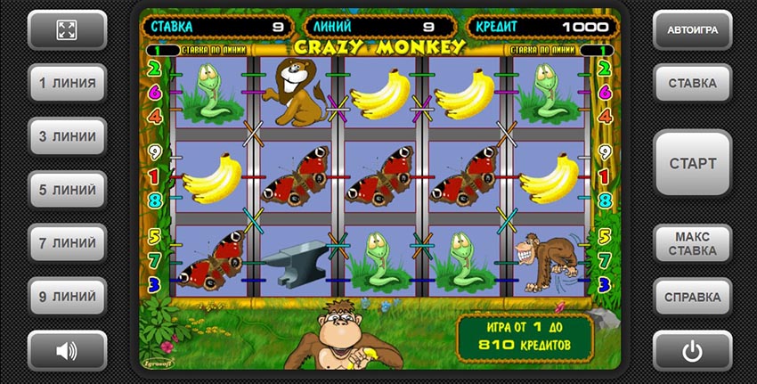 Игровое поле