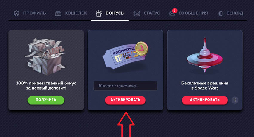 Поле для введения промокода