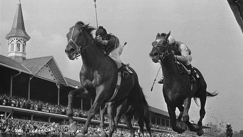 Лошадиные бега